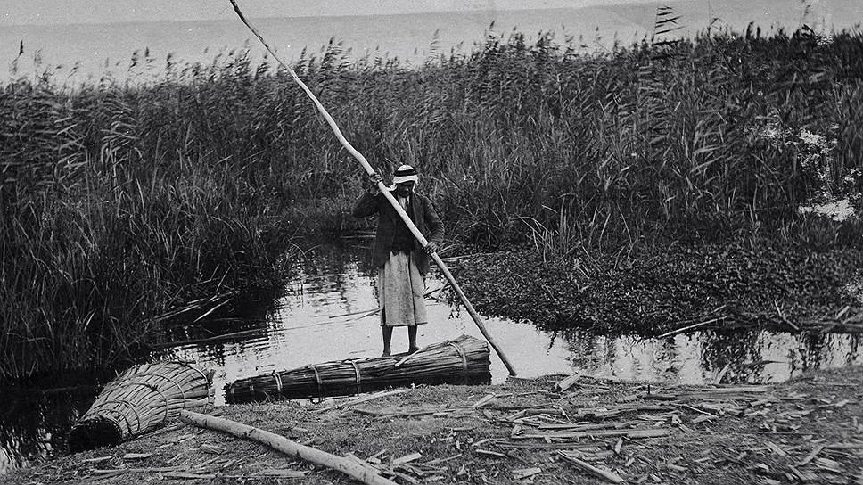 Папирус — главное полезное ископаемое болота Хула со времен фараонов до середины XX века. На фото — папирусный плот, 1926 год 
