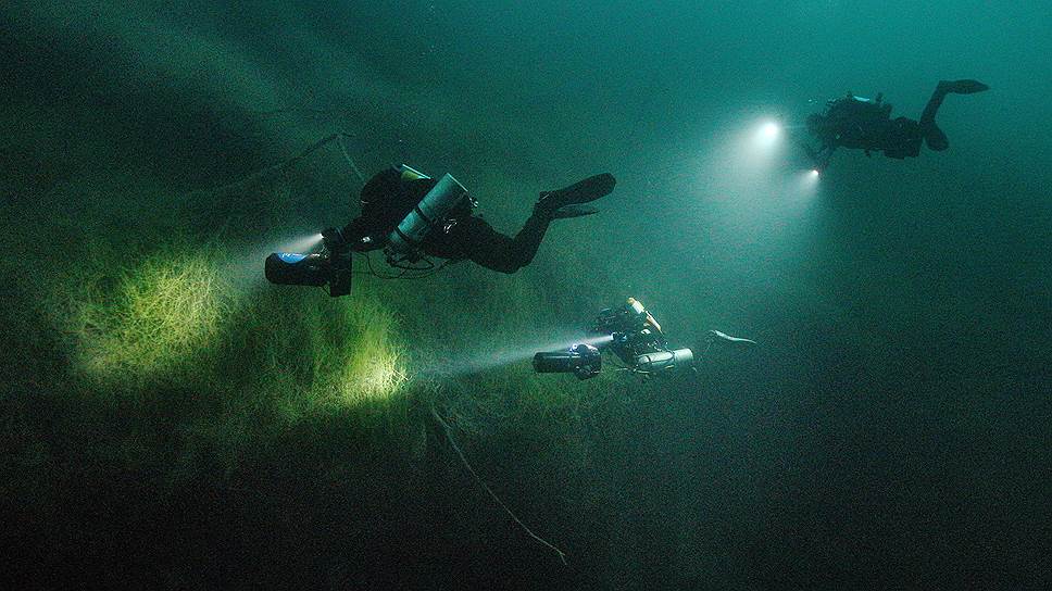 Подводный мир озера изучают водолазы. К сожалению, кроме водорослей и рачков-бокоплавов в насыщенной сероводородом воде никто не живет 