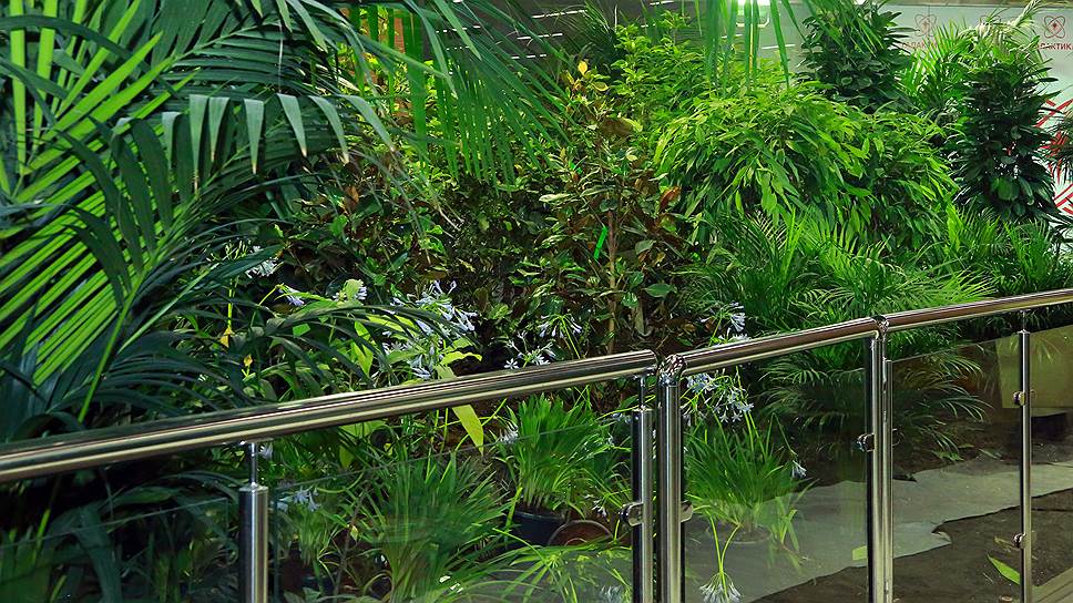 Субтропическая оранжерея включает семь садов, разделенных по климатическим зонам
