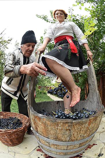 Город Вулканешти, винодельческое хозяйство &quot;Кара-гани&quot; — тот же процесс, только другой сорт винограда
