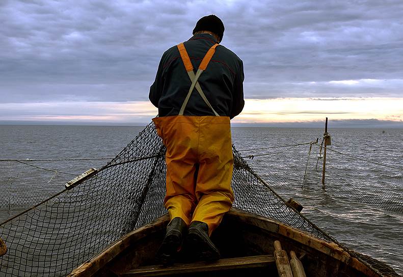 Утром и вечером колхозники осматривают сети: есть ли улов? Прежде рыбу сдавали в Пертоминск, где был рыбоперерабатывающий комбинат. Сейчас он не работает
