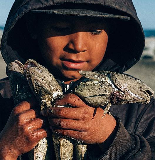 Одиннадцатилетний Рошаун Тузройлуке сам поймал рыбу-типук (Кивалина) 
