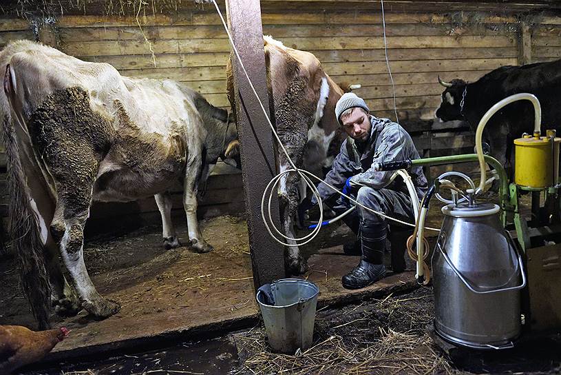 Фермерскую жизнь казакам облегчает аппарат машинного доения  
