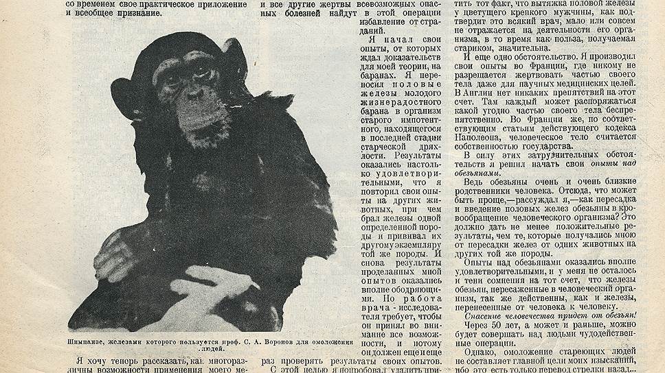 Спасут ли обезьяны род человеческий?