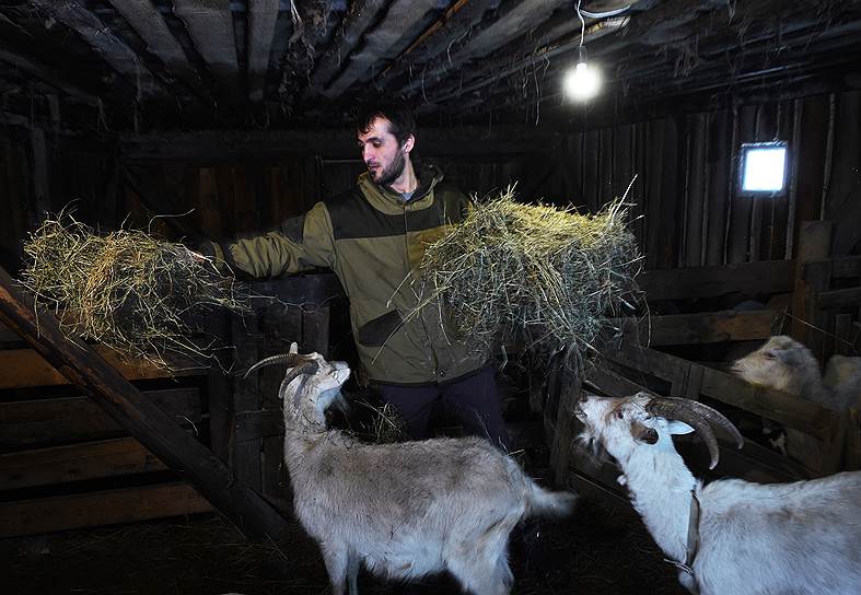 33-летний Юнус Шукуров твердо решил заниматься сельским хозяйством. В селе Рождествено у него уже 30 коз, семь баранов и корова с телятами