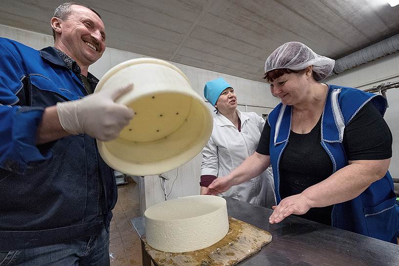 В деревне Степурино получают свыше 4 тысяч литров молока от одной коровы.  Здесь производятся разные сорта сыра, в том числе &quot;Российский&quot;