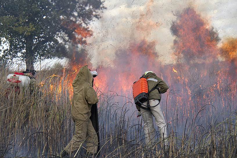 Каждый год с лесными пожарами борются добровольные пожарные. В России больше 300 объединений добровольной пожарной охраны 
