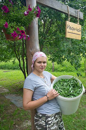 Катя Тригубова работает психологом в школе, но летом она главный технолог домашнего чайного производства