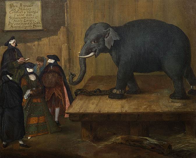 Пьетро Фалька, прозванный Лонги. «Слон». 1774 год
