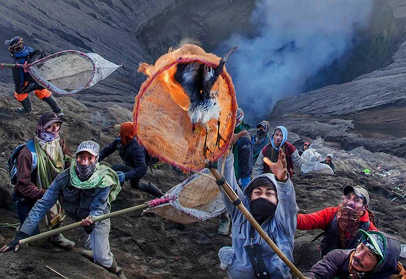 Традиции раз в год бросать что-нибудь в вулкан Бромо полтысячи лет 