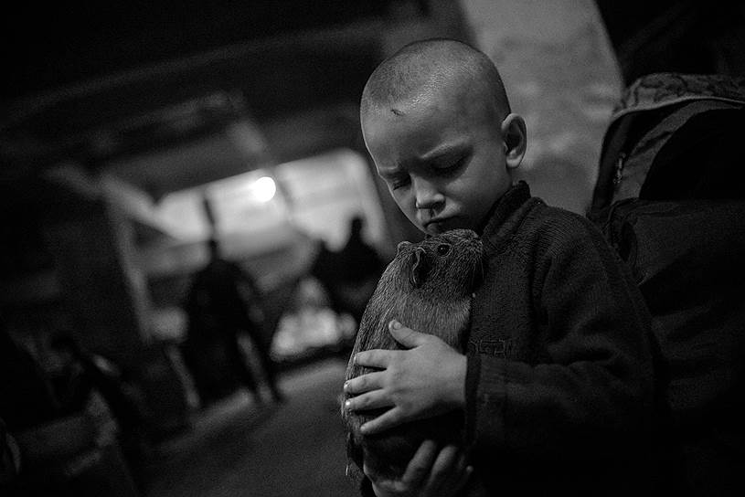 «Находя приют, находи мир». Фотопроект о людях, пытающихся жить в мире в условиях войны, гуманитарного кризиса, уличных забастовок. Георги Кожухаров (Болгария)