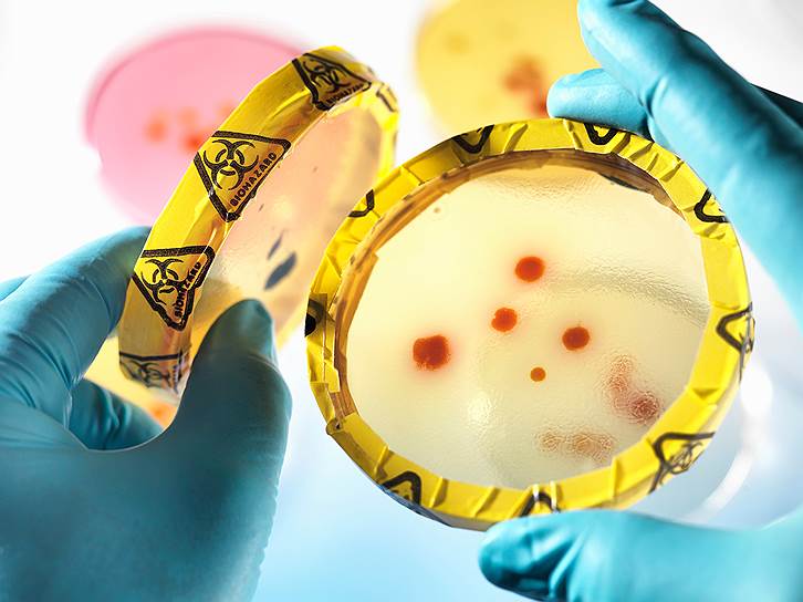 Супербактерии вырвались из больниц и лабораторий в окружающую среду 