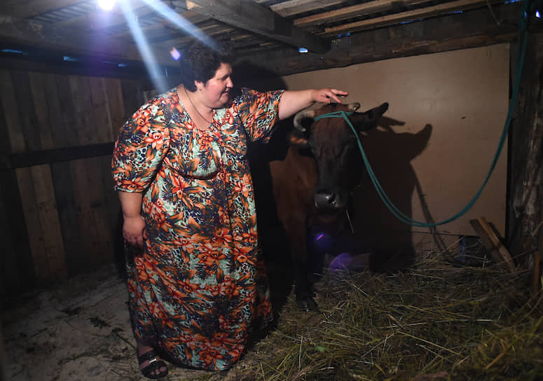 Жительница поселка Дедовичи Анжела Матигулина с коровой Милкой