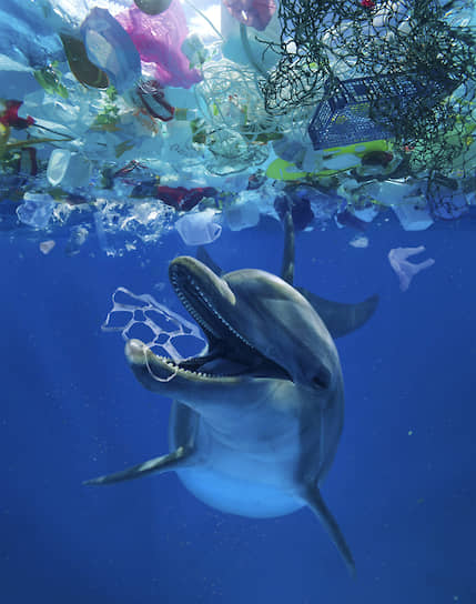 Острова из пластикового мусора в океанах — визитная карточка нашей цивилизации. Чтобы
защитить от этой отравы себя и морских обитателей, люди ищут общий язык с бактериями