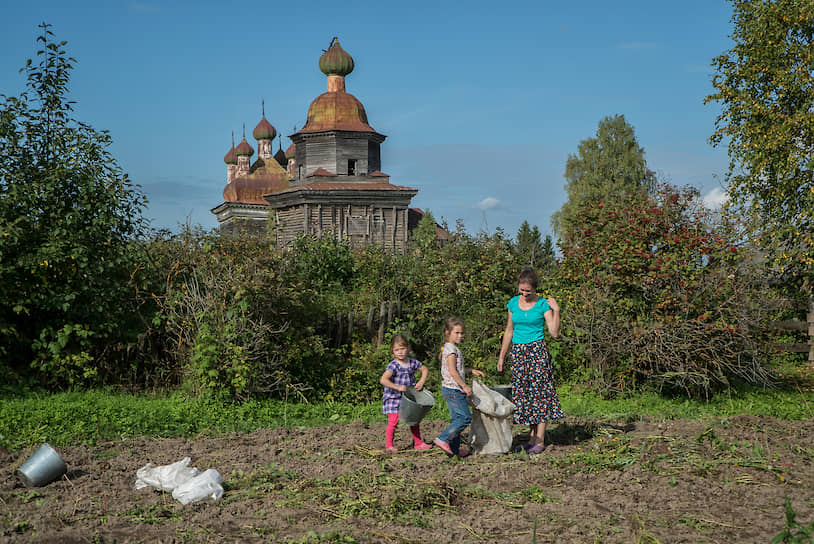 Валентина Матюхина с детьми собирает картофель на семейном огороде на фоне ансамбля церквей в селе Архангело