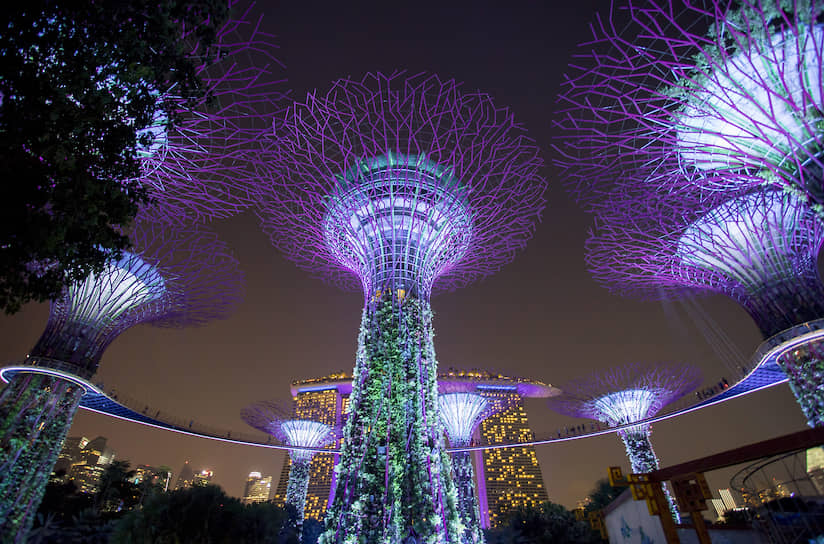 Сингапурские вертикальные сады