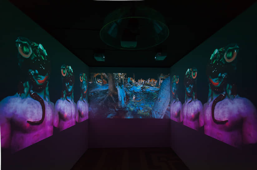 Видеоинсталляция Александра Шишкина-Хокусая «Кино для молодой змеи» — один из участников фестиваля «Киберфест»