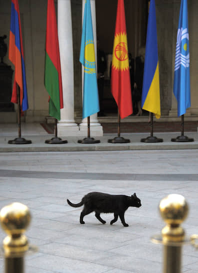 Черная кошка, конечно же, ни при чем. Но самый первый опыт интеграции на постсоветском пространстве — СНГ — не стал самым удачным и продвинутым