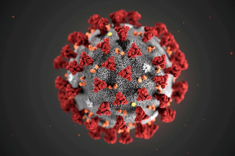 Вот как выглядит новый коронавирус, который за каких-то три месяца спутал все наши планы на будущее — от поездки в отпуск до полета на Марс
