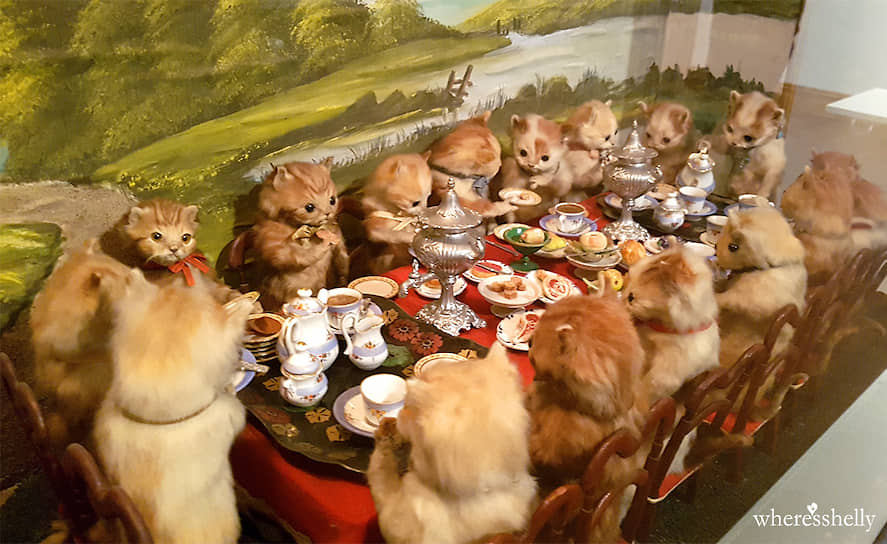Инсталляция «Чаепитие котят» работы Уолтера Поттера, таксидермиста викторианской эпохи