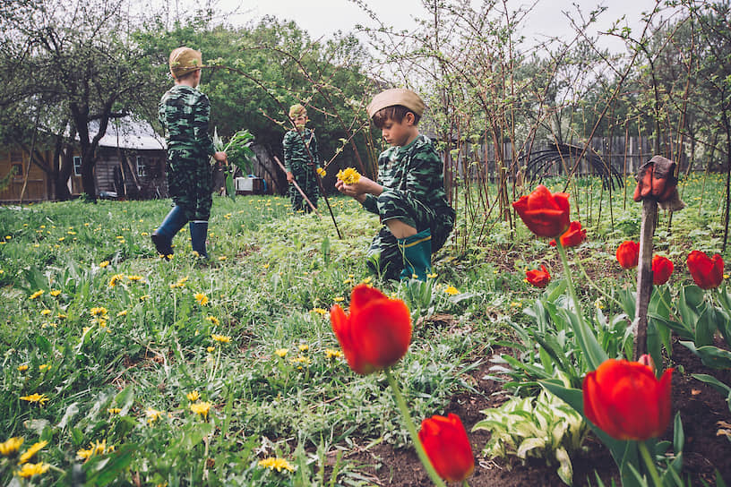 Мальчишки собирают цветы для прабабушки