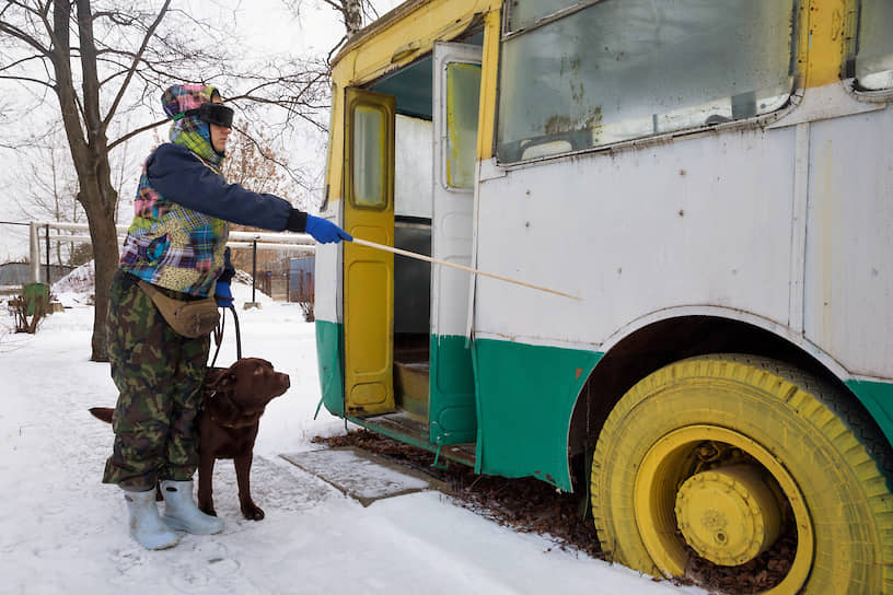 Инструктор Екатерина Балесная обучает лабрадора Эллара навыкам прохождения препятствий (автобус) с незрячим человеком