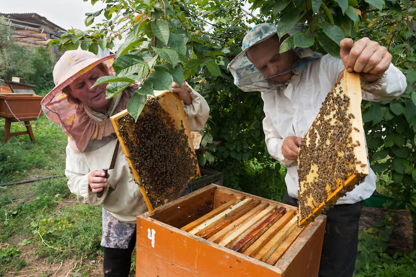 Производство меда — традиционный промысел практически на всей территории России. Пчеловоды села Новосретенка (Бурятия)
