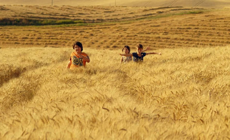 «Пшеничное море», режиссер Фабрицио Гуардуччи, 2018 год