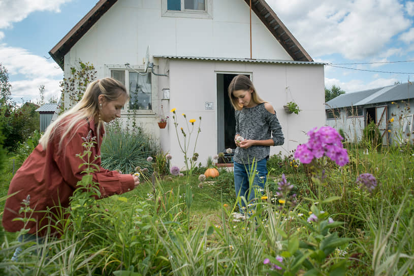 Актрисы Ирина и Ксения Пановы собирают цветы возле своего дома в селе Ковчег