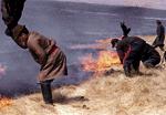 Mongolia-Fires