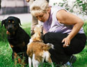 Яна Волкова с ротвейлером Никой и еще одной из 13 собак домашнего приюта для животных