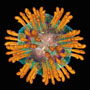 Вирус гепатита С проникает в кровь с помощью протеиновых щупалец
