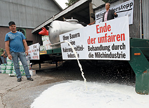 Немецкие фермеры требуют увеличить закупочные цены на молоко и демонстративно выливают его на землю
