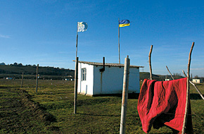 Дом-времянка на земельном самозахвате близ аэропорта Симферополя