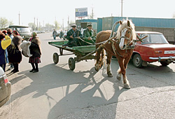 В Урюпинске лошадь - не роскошь, а средство передвижения