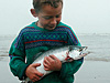 Собирать рыбу на берегу - это промысел мальчишек