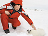 Общение с детенышами тюленя пробирает даже суровых мужчин