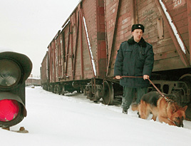 Вохровец с собакой в Забайкальске начала 90-х грабеж остановить не мог