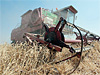 Дефолт дал шанс многим отраслям экономики, например производителям пшеницы. Через 10 лет Россия стала крупным экспортером зерна