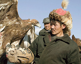 Человек с охотничьей птицей в Монголии не редкость