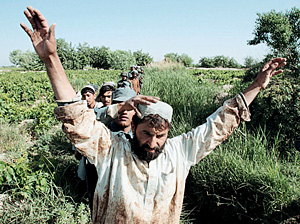 Афганский полицейский обыскивает крестьянина на поле, где выращивают опийный мак. Ищут оружие — с опиумом воевать труднее
