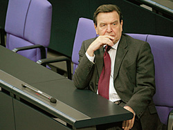 Экс-канцлер Шредер молчит о своем участии в переговорах России и Украины