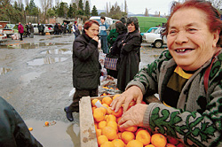 На сухумском рынке даже за отборные мандарины выручают не больше 7 руб. за кг