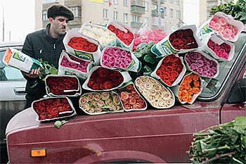 Скольких кормят цветы в России, никто не считал. Но на бывшие братские республики «цветочного заработка» тоже хватает