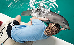 Леди Винтер с гелевым протезом плавает не хуже любого другого дельфина 