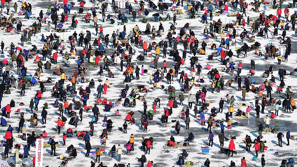 &lt;b> ДЕНЬ МИЛЛИОНА ЛУНОК&lt;/b>&lt;br>
10.01.2016&lt;br>
Хвачхон — горный уезд на самом севере Южной Кореи, вдоль демилитаризованной зоны. Края, по корейским меркам, холодные. Не удивительно, что именно здесь каждый январь проходит фестиваль льда. Здесь играют в футбол на снегу и на льду, в хоккей и в керлинг, катаются с ледяной горки, но гвоздь программы — ловля горной форели. Примерно половина реки в городской черте отведена под участки для подледного лова: взрослые и детские, по предварительной записи и без. За три недели фестиваля сюда приезжает порядка миллиона человек, поэтому рыбачить, как можно увидеть на фотографии, проходится плечом к плечу