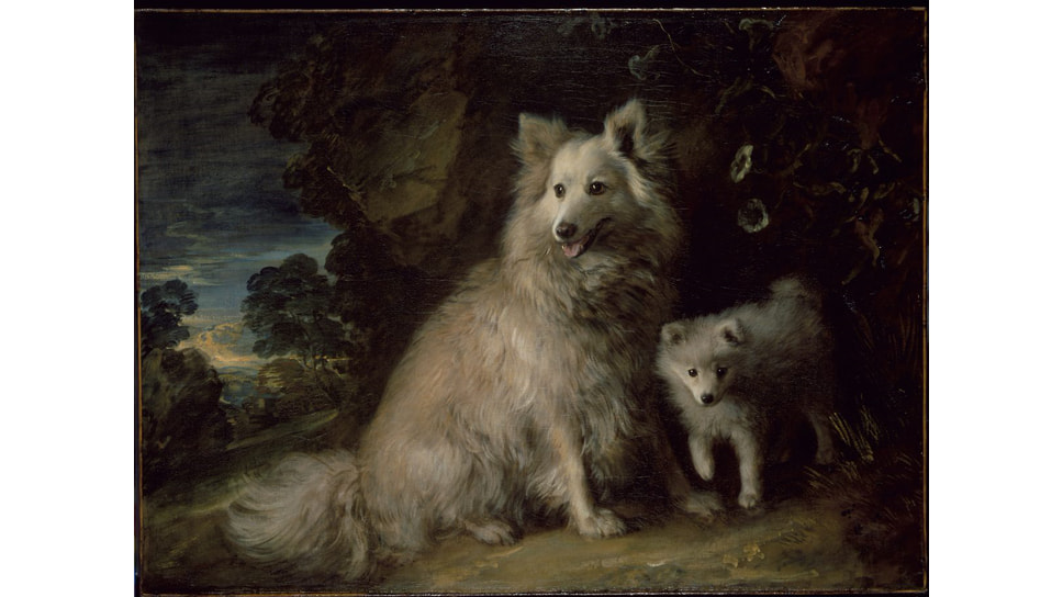 Томас Гейнсборо, «Померанский шпиц и щенок», 1777