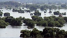"В основном от наводнения страдают сельские районы"