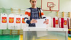 "Происходит подмена реальных демократических выборов "мишурой"