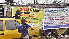 "Эбола — это уже эпидемия"